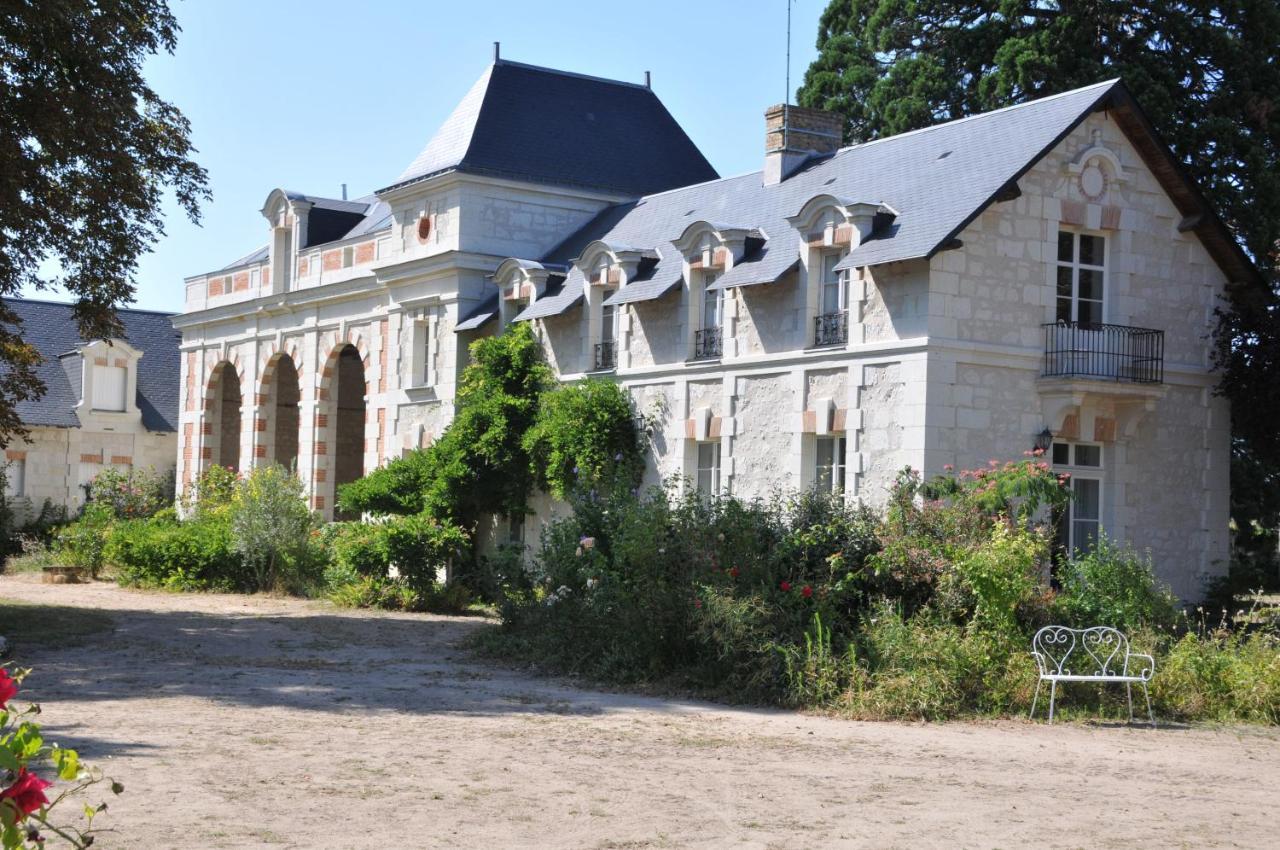 L'Orangerie Du Chateau - Le Nid - Gite 2 Personnes Brain-sur-Allonnes Zewnętrze zdjęcie